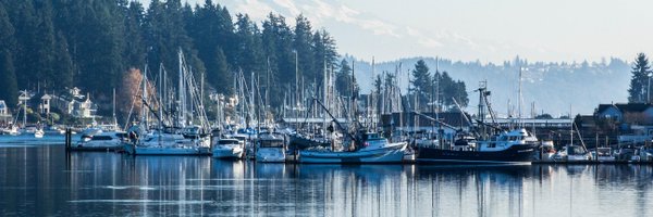 FairweatherFish Profile Banner