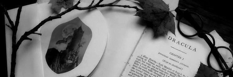Dracsbee's profile banner image