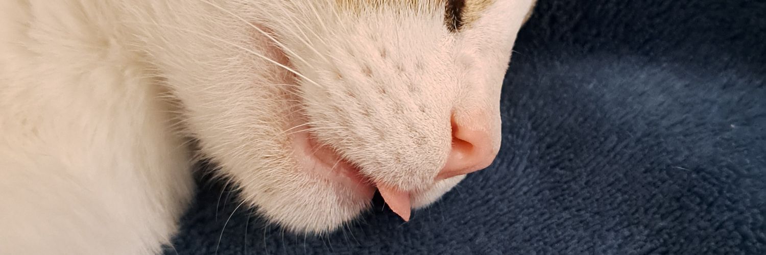 agusklos15's profile banner image