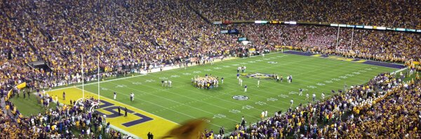 mascottcox Profile Banner