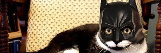rickydemera's profile banner image