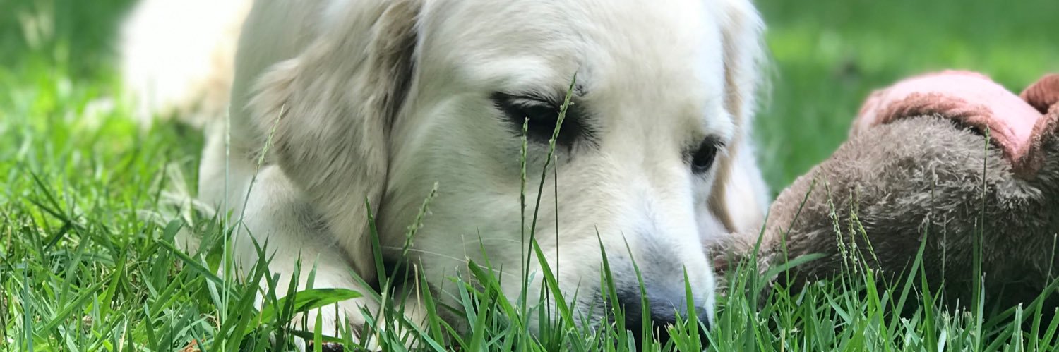 vcaswell1's profile banner image