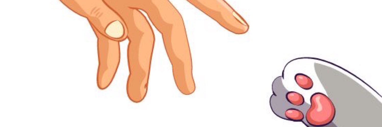 _nrfarra's profile banner image
