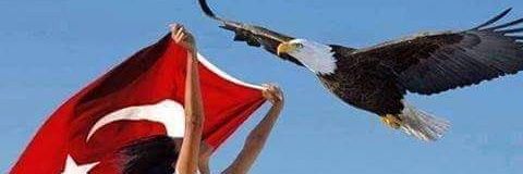 Habeerci40's profile banner image