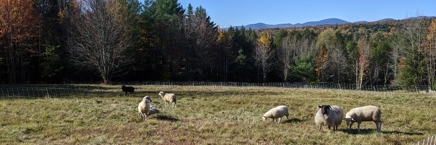 Jonathan Petkun banner