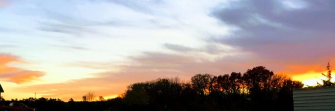 mloftus27's profile banner image