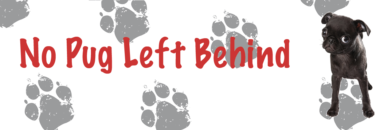 Arizona Pug Rescue banner