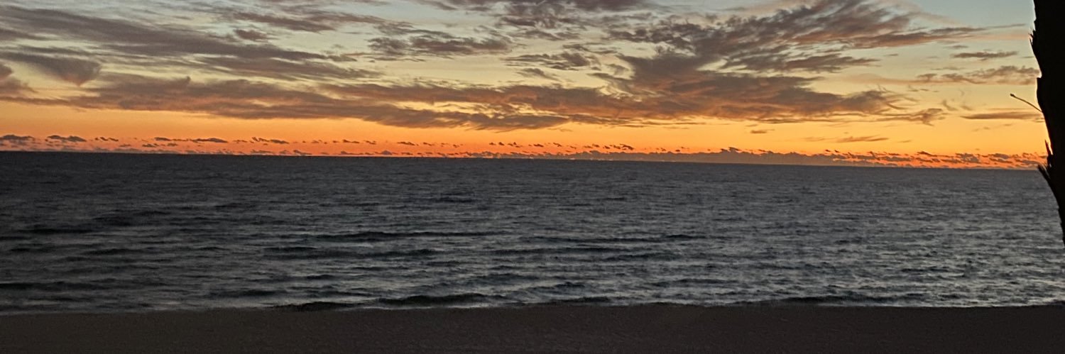 AnnScotti's profile banner image