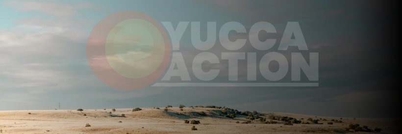 YUCCA Action banner