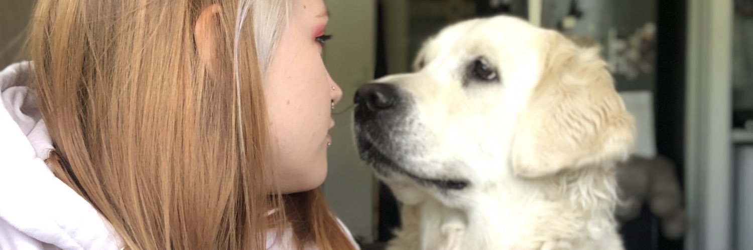 CamilleVgr's profile banner image