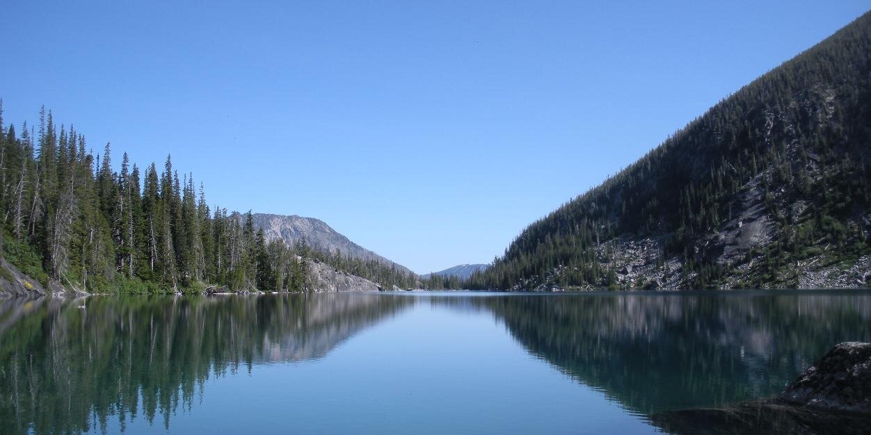 Gavin Johnson banner