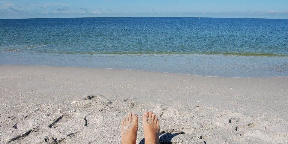 Dr. Jenna Sullivan-Stack banner