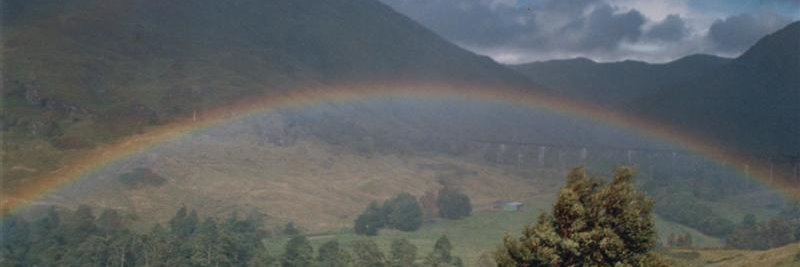 Steve MacLeod banner