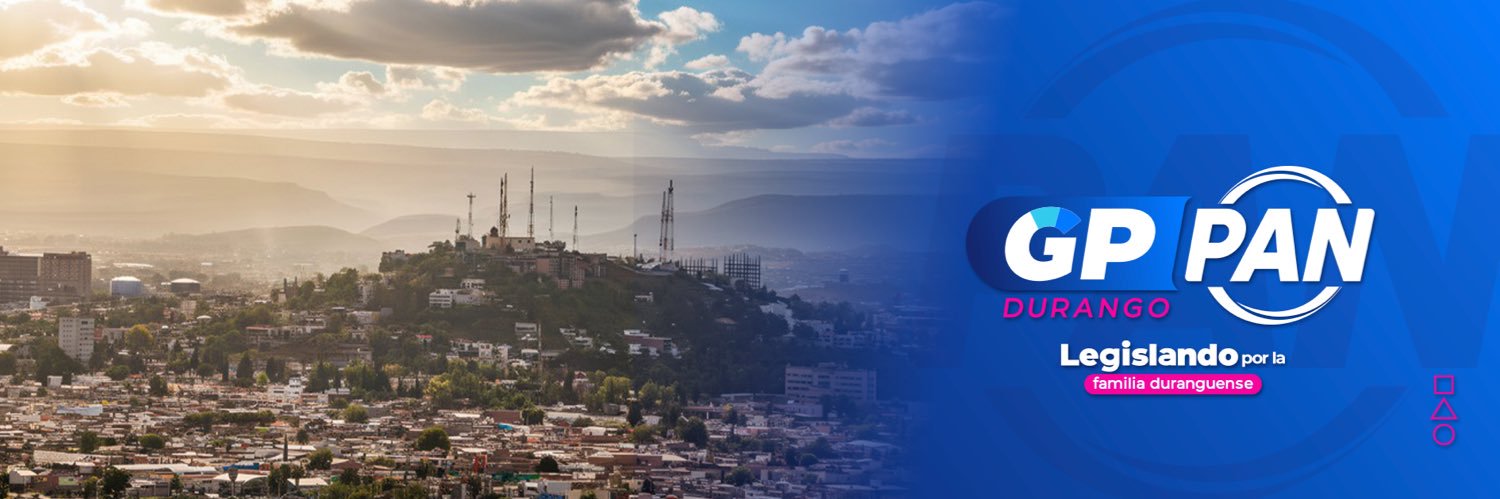 FerRochaDgo's profile banner image
