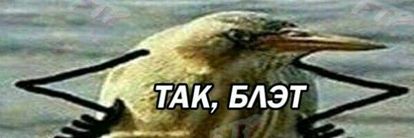 apparrat's profile banner image