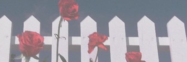 ____M__nn's profile banner image