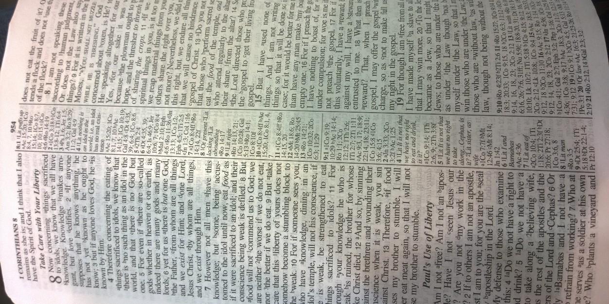 Michael Harmon banner