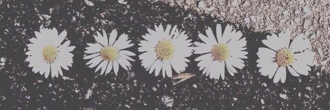_NDOOOII's profile banner image