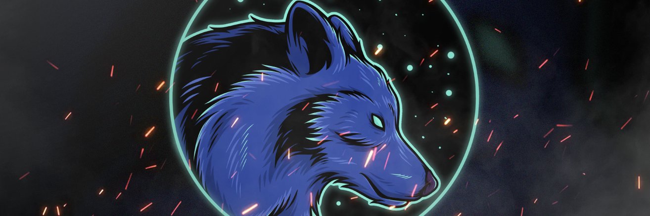 auroraslights's profile banner image