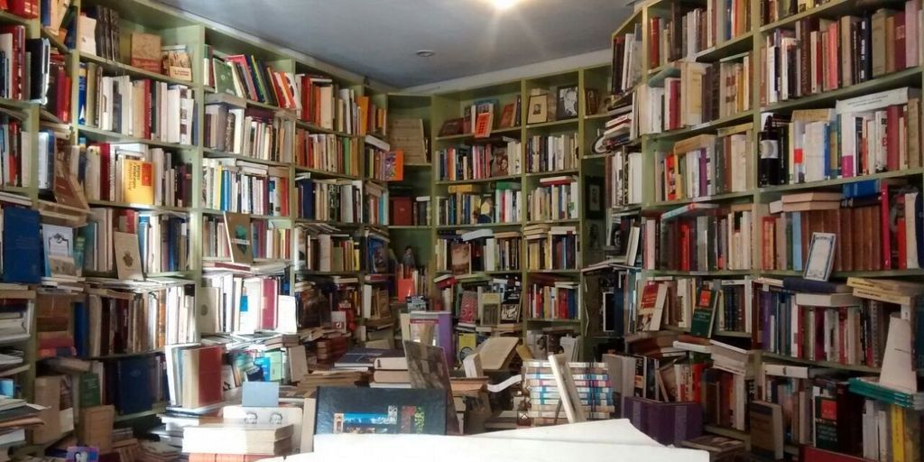 Elena San José banner