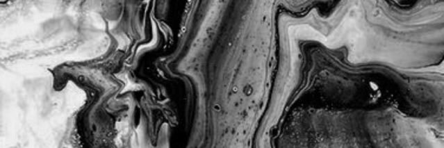 lauren. banner