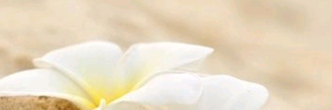 AnaEscandon90's profile banner image