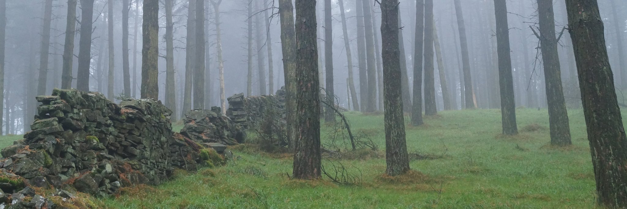 JonathanParrett's profile banner image