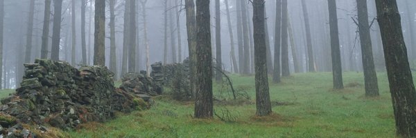 JonathanParrett Profile Banner