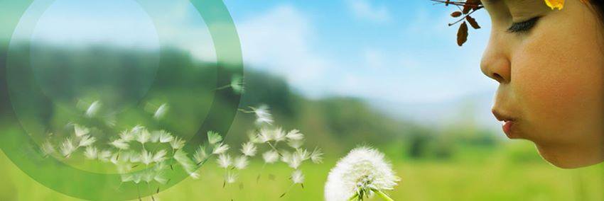 LigaFCC's profile banner image