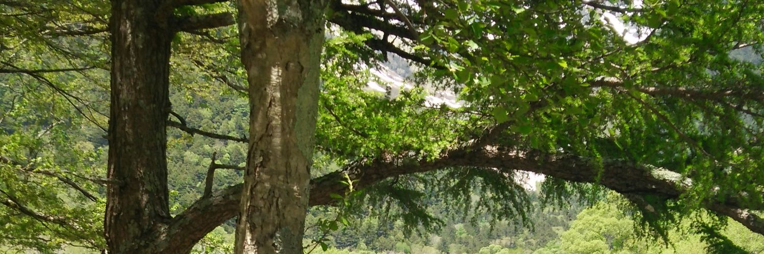 Hanpen_uma's profile banner image