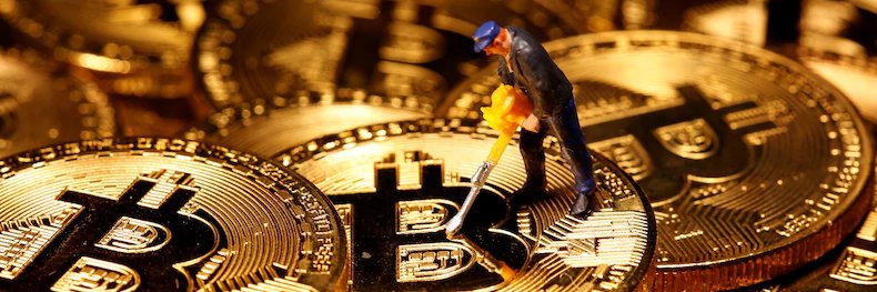 CryptoShrimp 🍤 banner