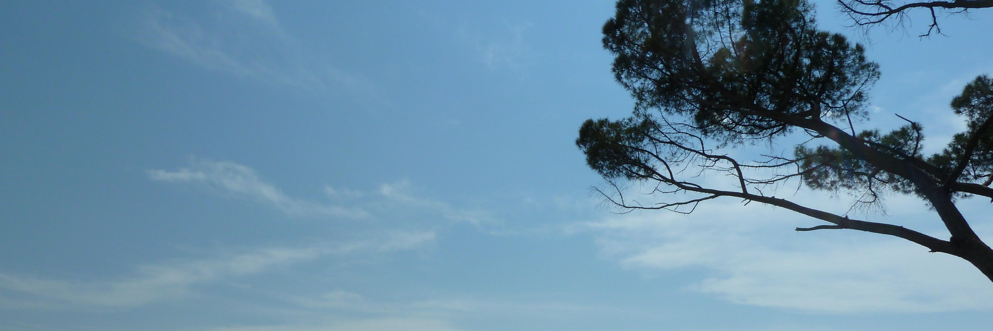tobygazeley's profile banner image