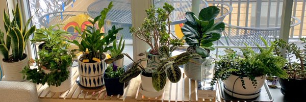 meredithjacob Profile Banner