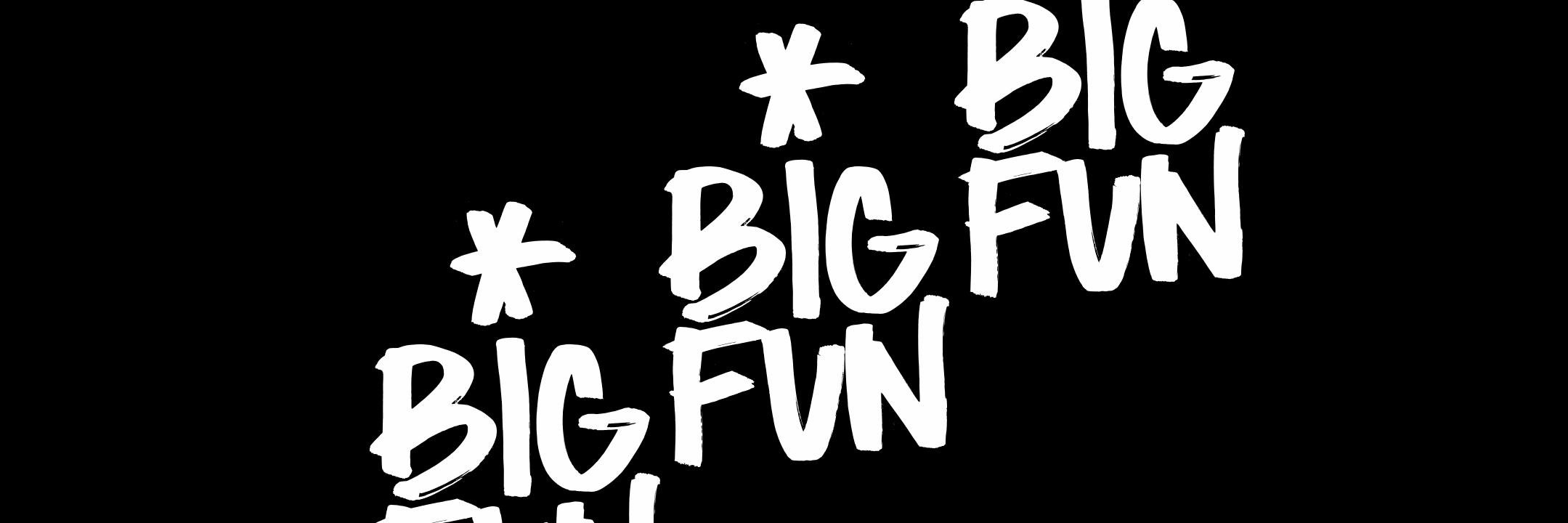 BigFunFestival's profile banner image