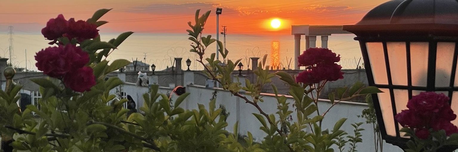 metingulacar's profile banner image