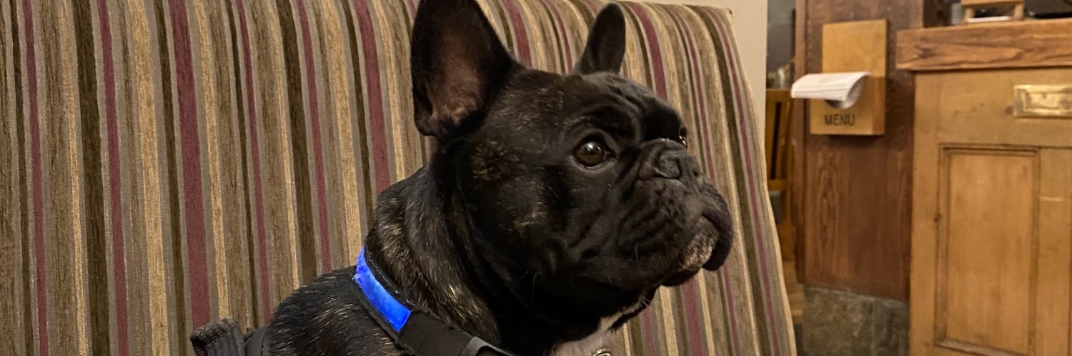 theruthnicholas's profile banner image