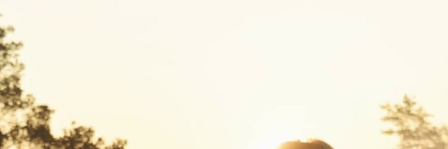 OhAlmarri's profile banner image
