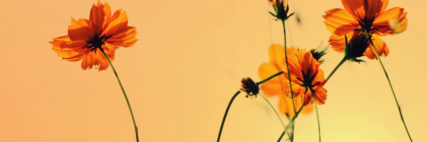 ys_090's profile banner image