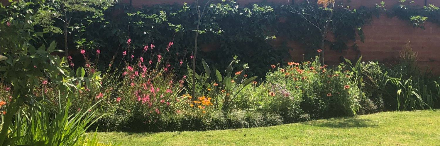 NolaHaynes's profile banner image