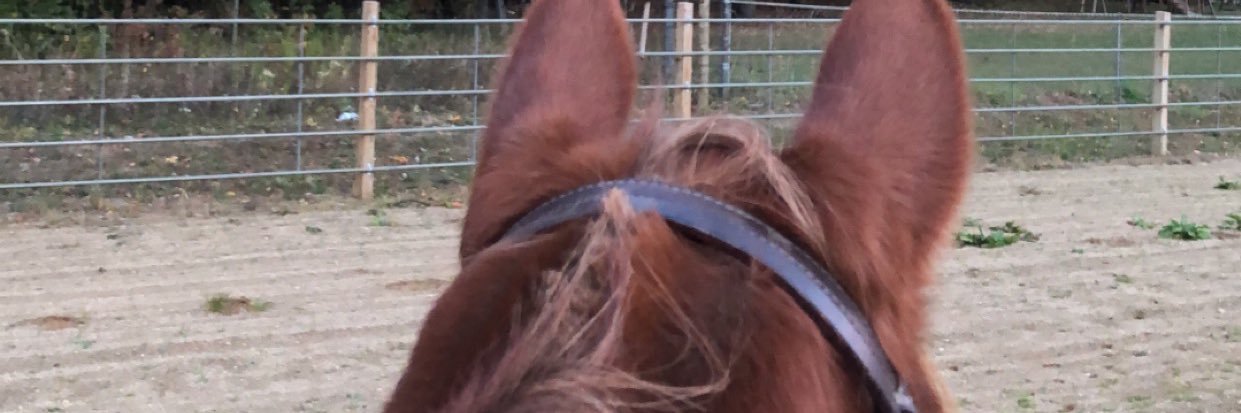 jgothberg's profile banner image