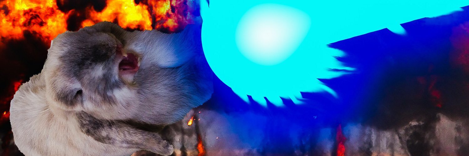 Raffyzou's profile banner image