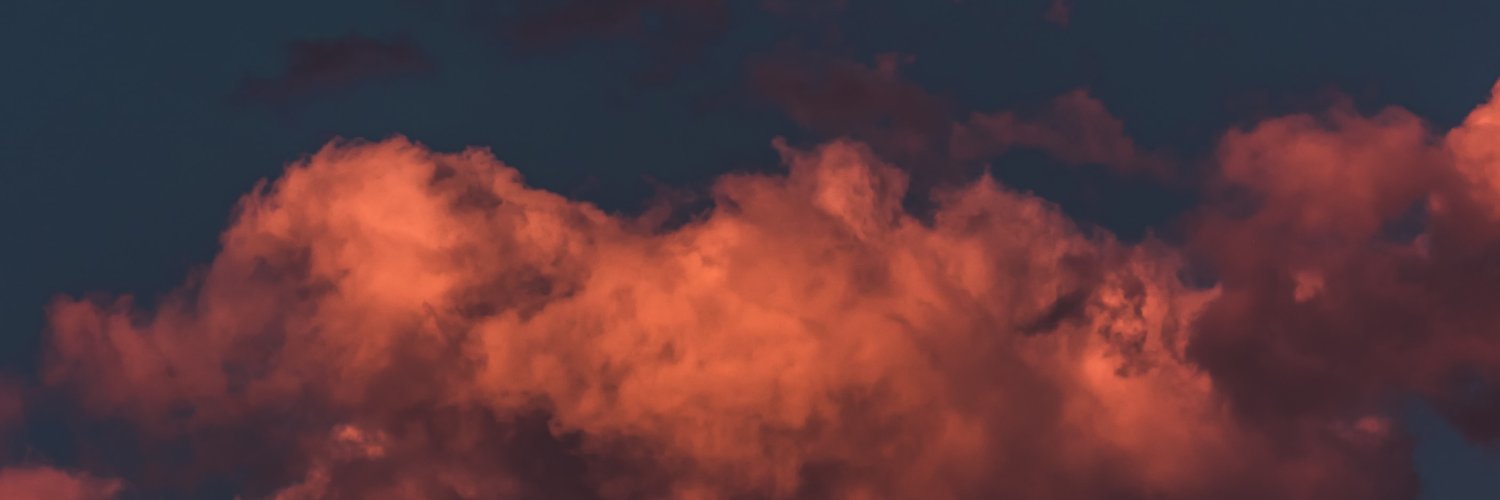 alinasau's profile banner image