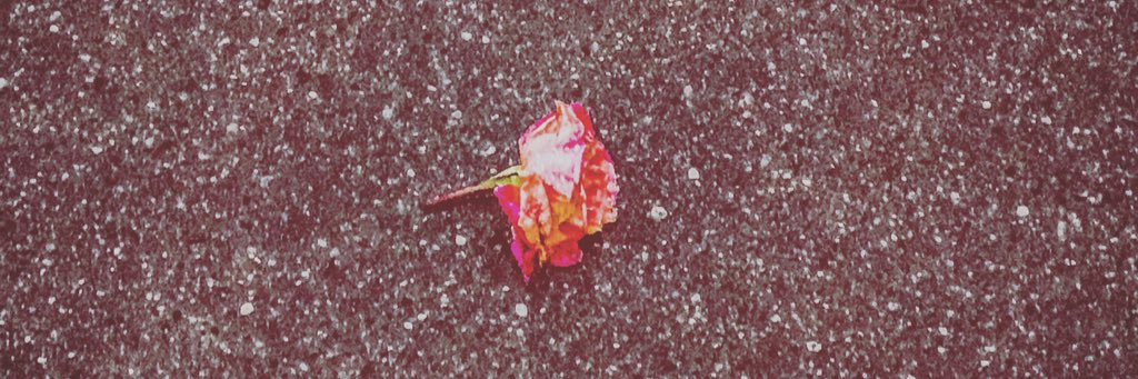try_try5's profile banner image
