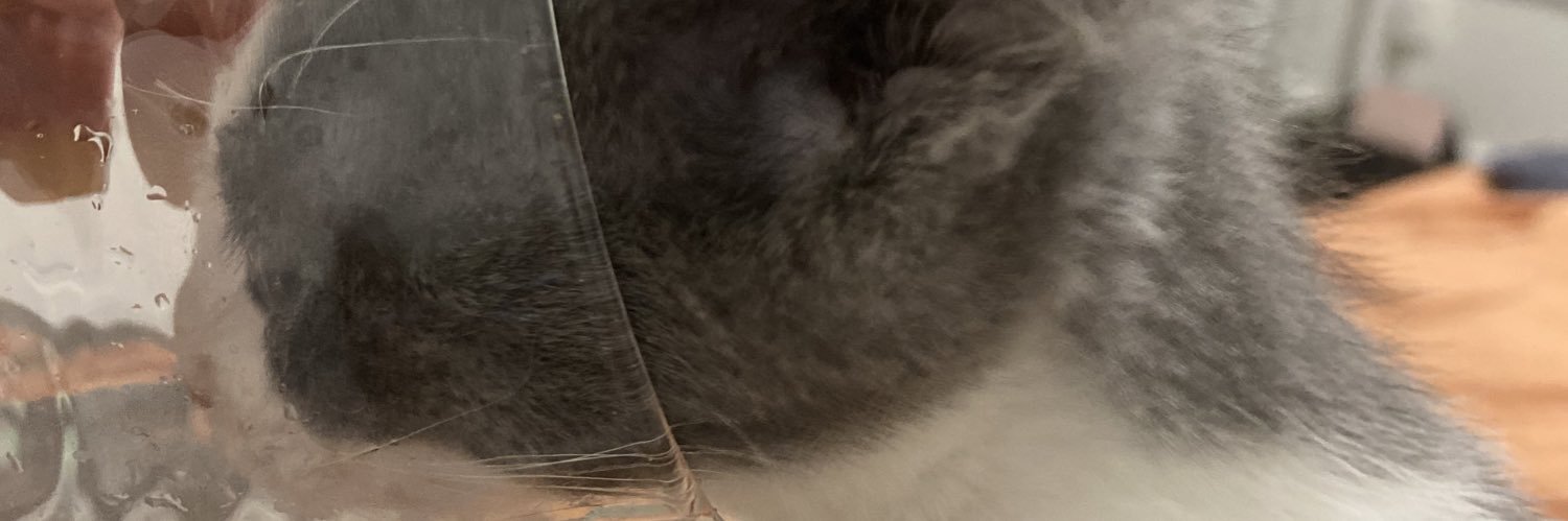 KKBaswell's profile banner image