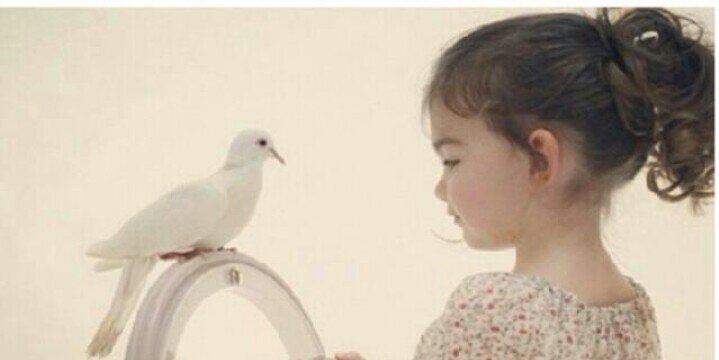 FadOoOChan's profile banner image