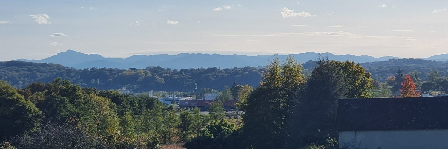 Patrice Bédouret banner