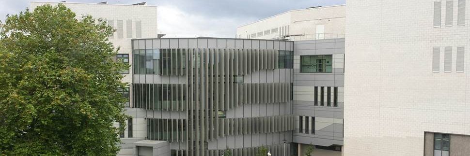 Islet Biology Exeter banner