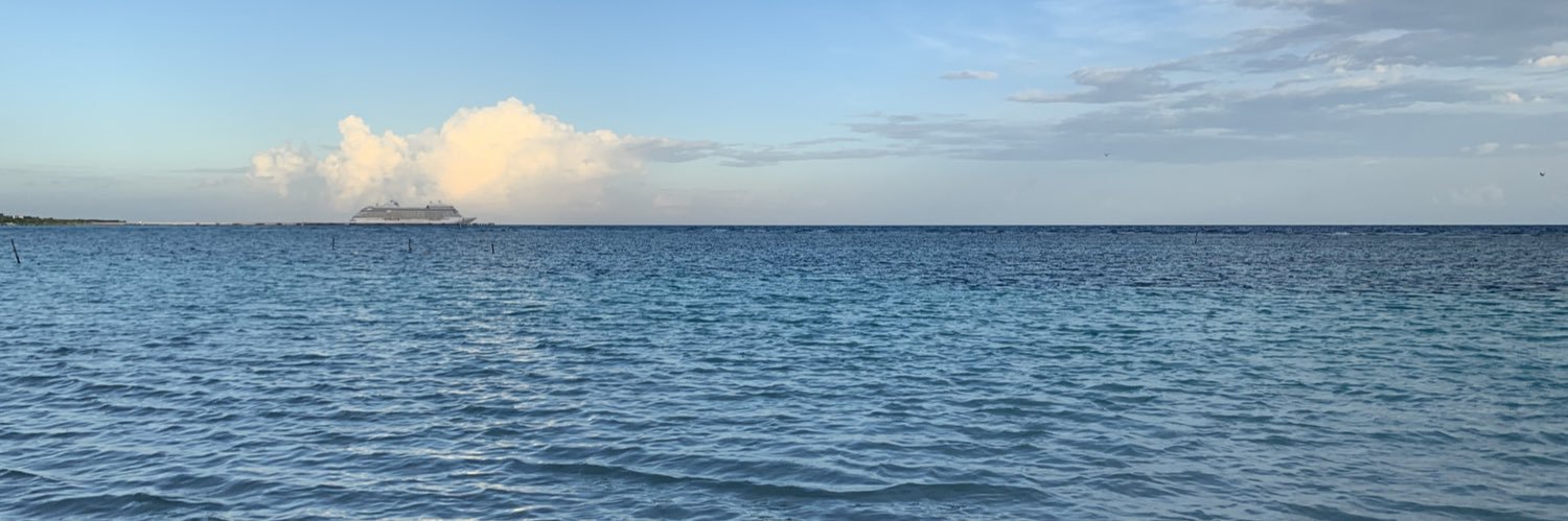 lizmdf's profile banner image