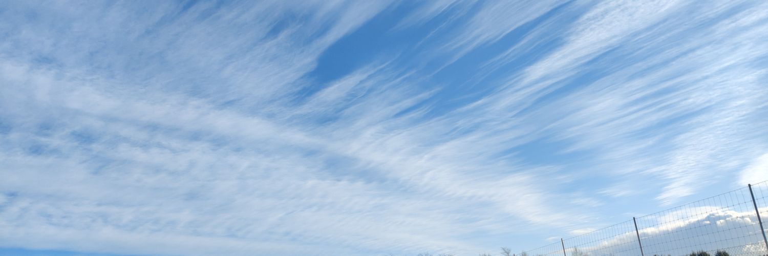 p0rr1s banner