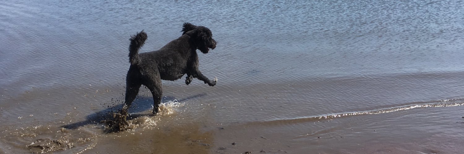 abi_hindmarch's profile banner image